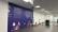 GIGANTOGRAFIA